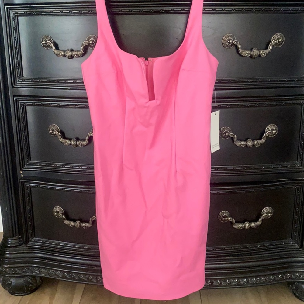 NWT Pink Dress size Small